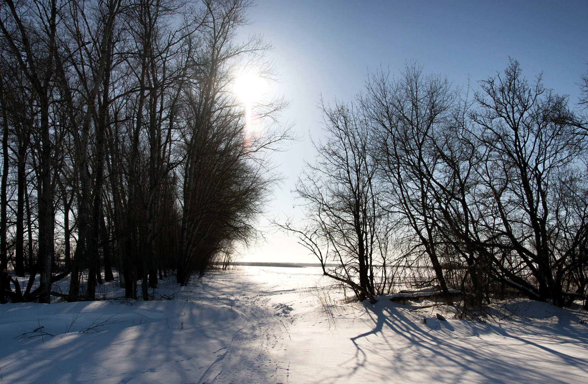 Sony ILCA-77M2 + Sigma 17-50mm F2.8 EX DC HSM sample photo. Кваларешкобарашковая красота photography