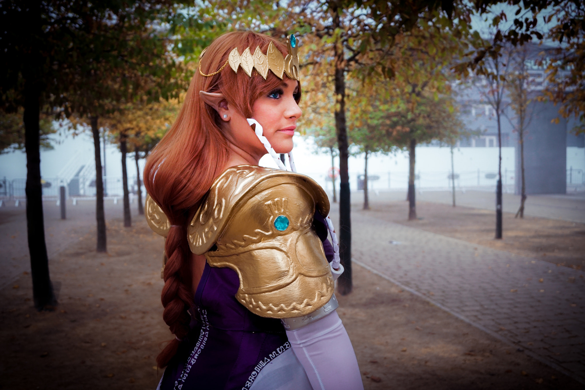 Sony DT 18-55mm F3.5-5.6 SAM II sample photo. Princess zelda photography