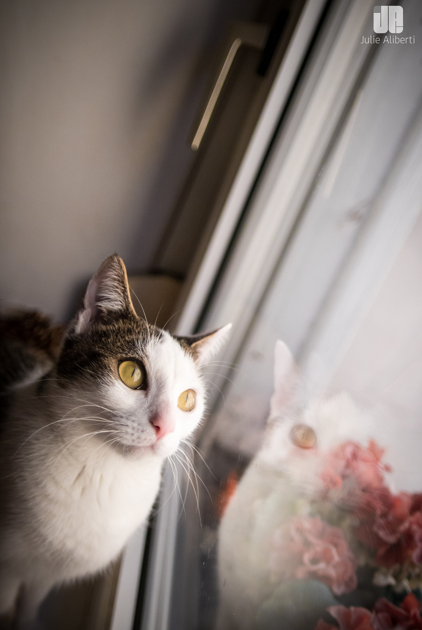 Sigma 20mm EX f/1.8 sample photo. . photography
