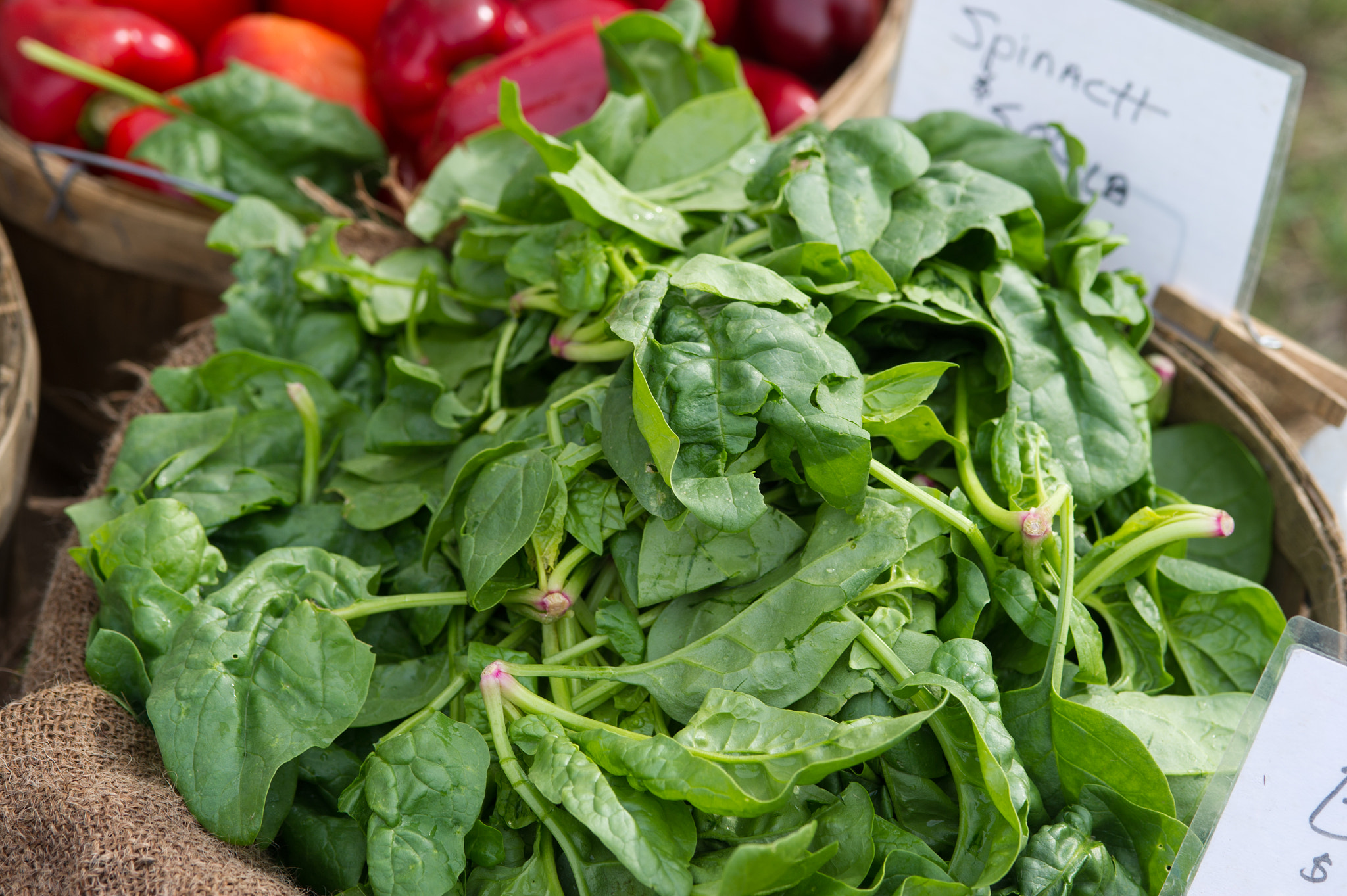 Nikon D3S sample photo. Farmers market photography