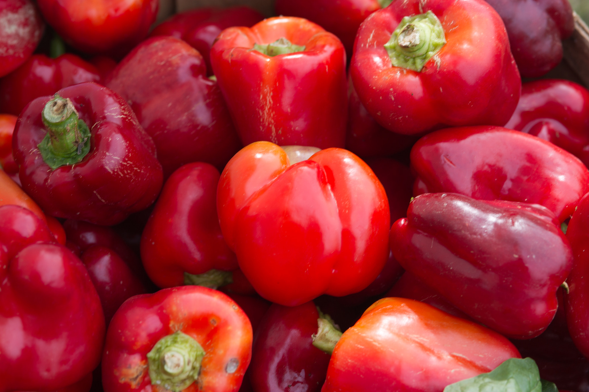 Nikon D3S sample photo. Red peppers photography