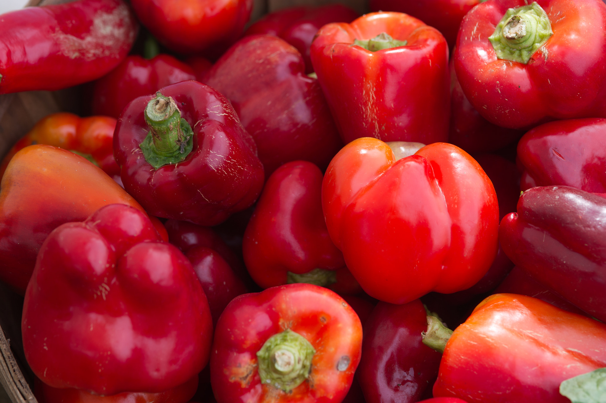 Nikon D3S sample photo. Red peppers photography