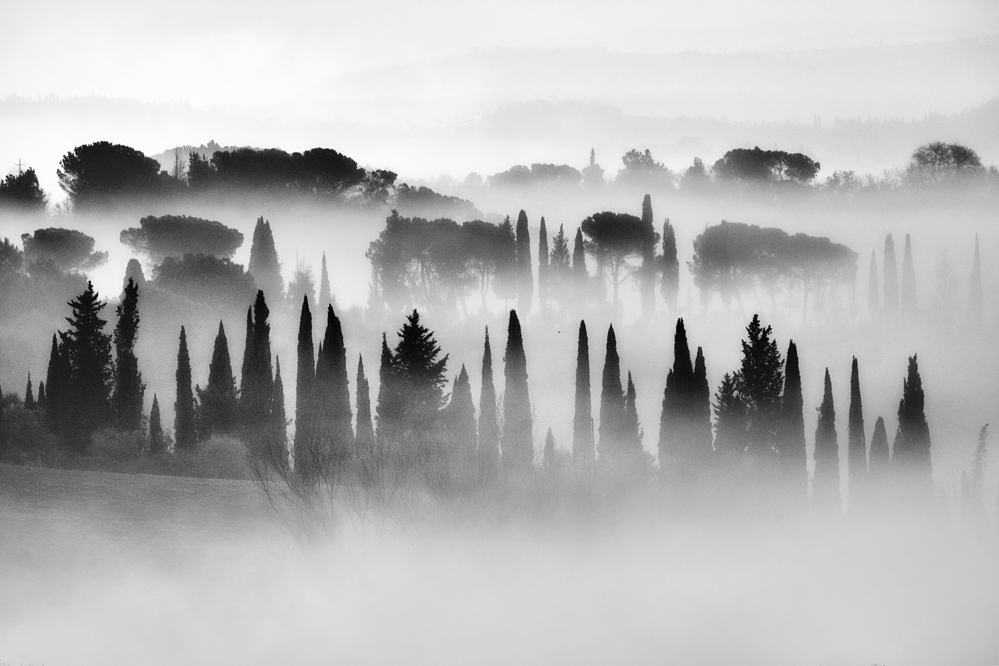 Canon EF-S 55-250mm F4-5.6 IS sample photo. Ferrano bw photography