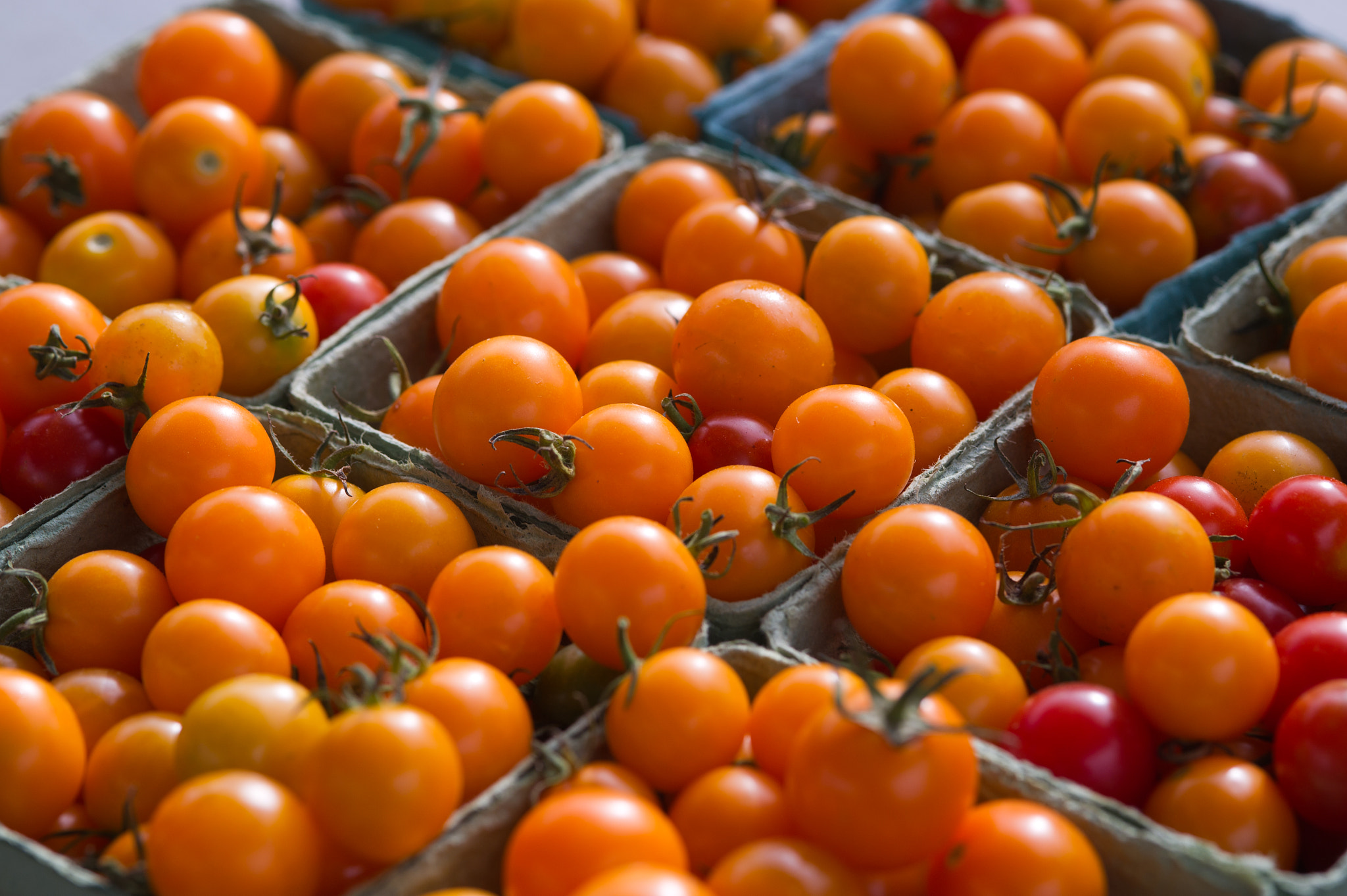Nikon D3S sample photo. Tomatoes photography