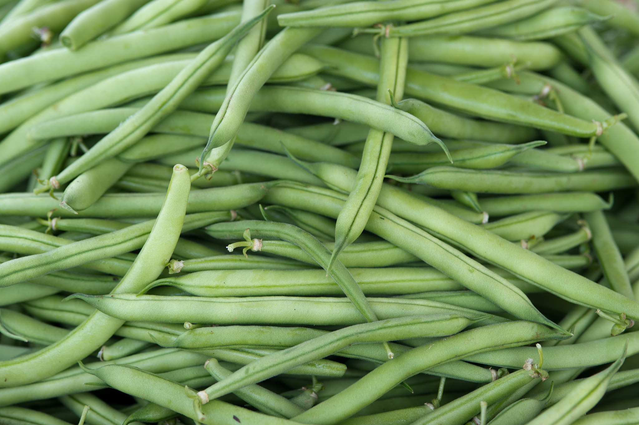 Nikon D3S sample photo. Green beans photography