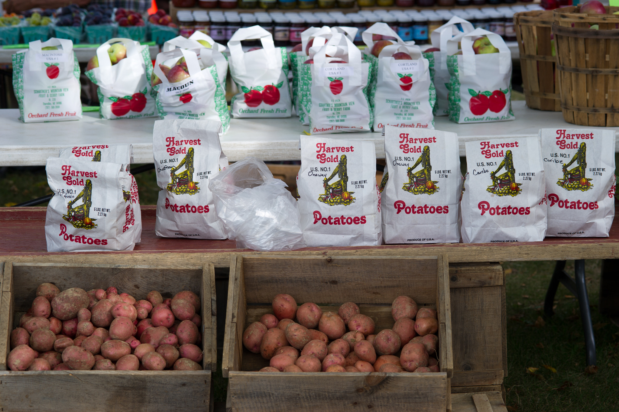 Nikon D3S sample photo. Potatoes photography