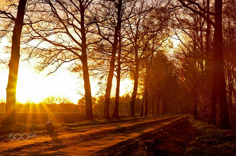 Sony Alpha DSLR-A900 sample photo. The remains of the day (i) photography