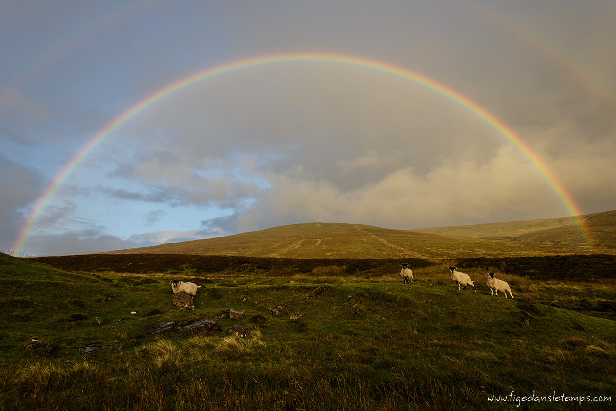Nikon AF-S Nikkor 17-35mm F2.8D ED-IF sample photo. Ecosse photography