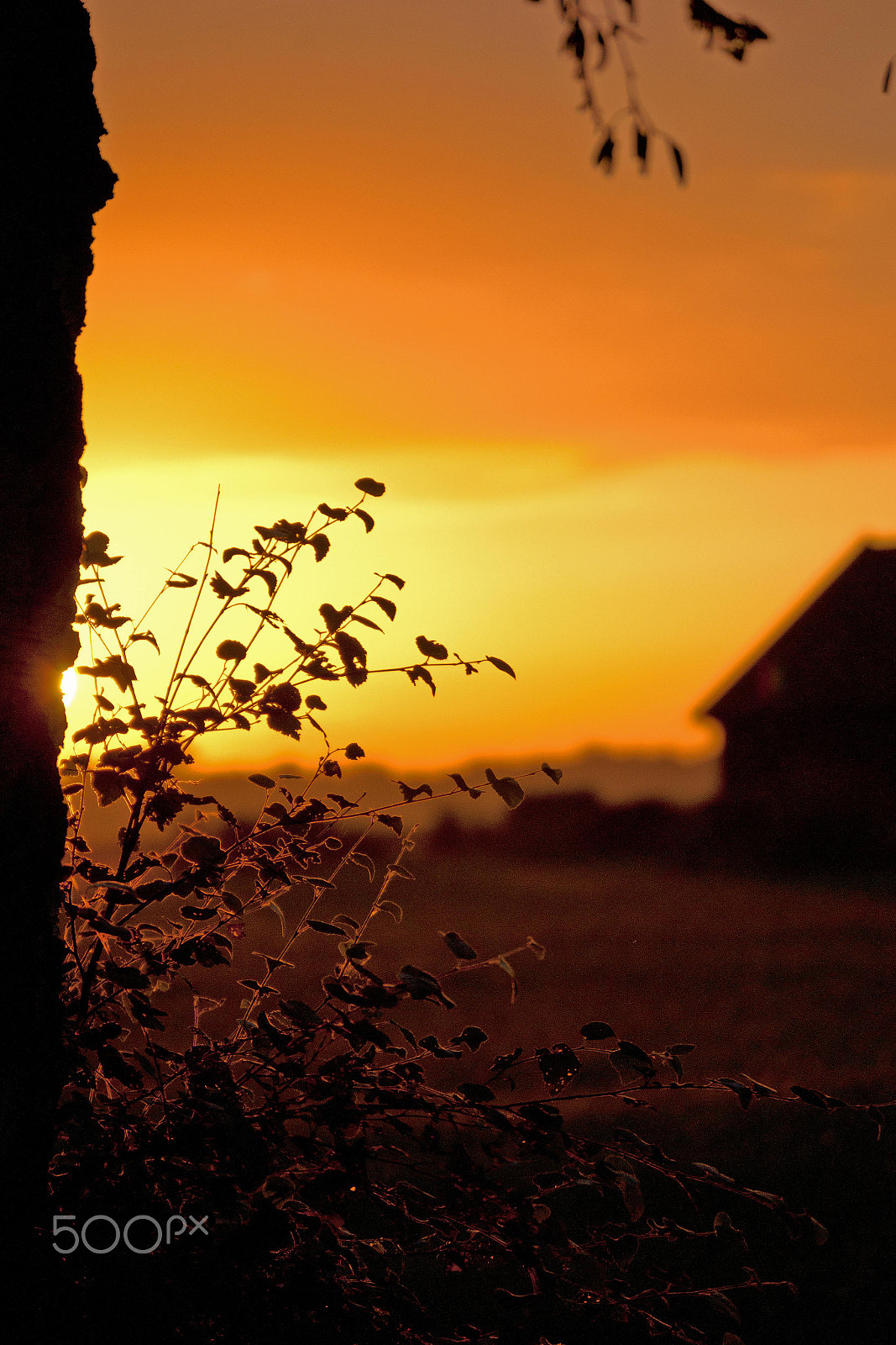 Minolta/Sony AF 70-200mm F2.8 G sample photo. Evening glow photography