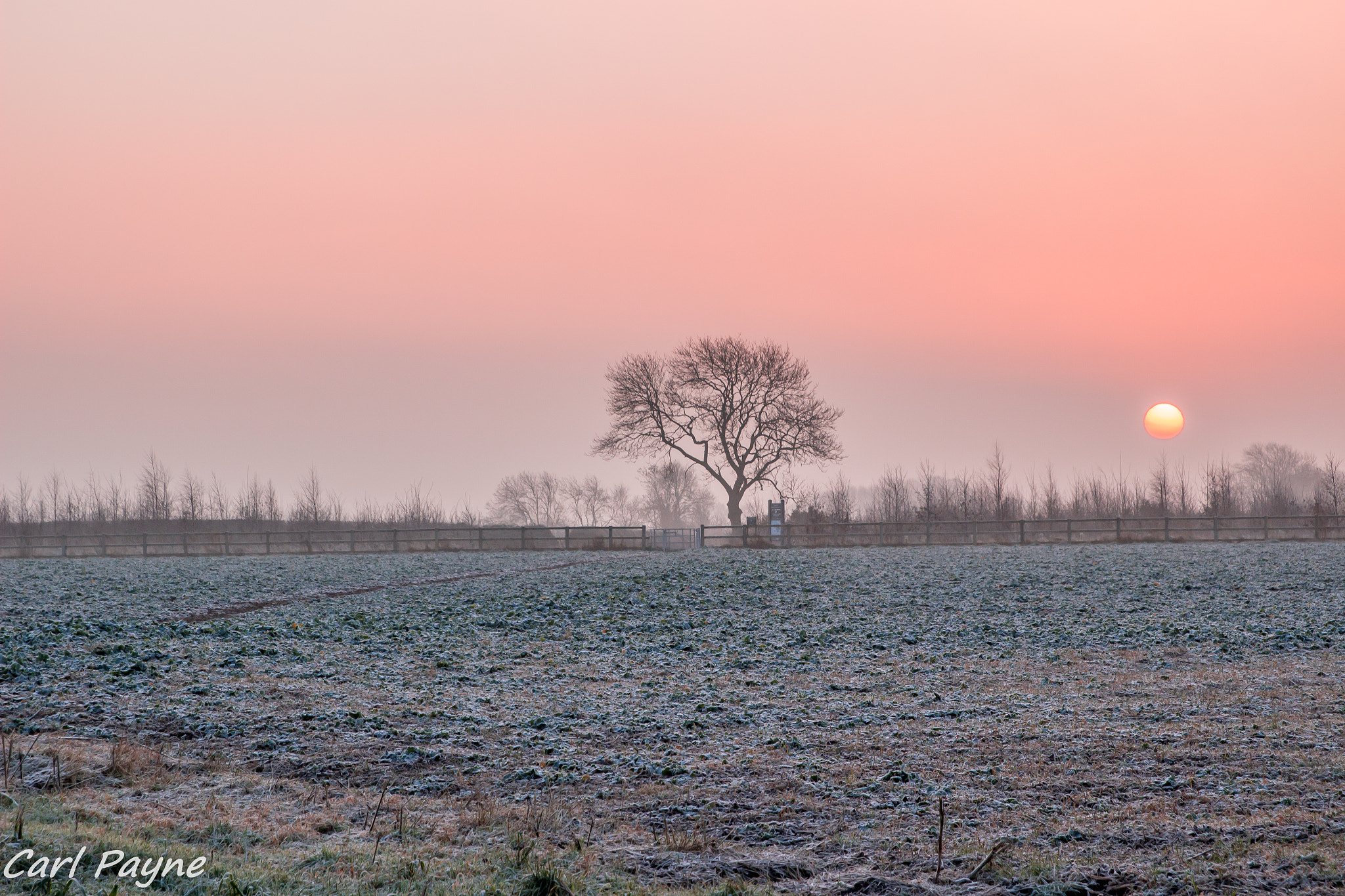 Canon EOS 100D (EOS Rebel SL1 / EOS Kiss X7) + Canon EF 400mm f/2.8L sample photo. Cold and frosty sunrise photography