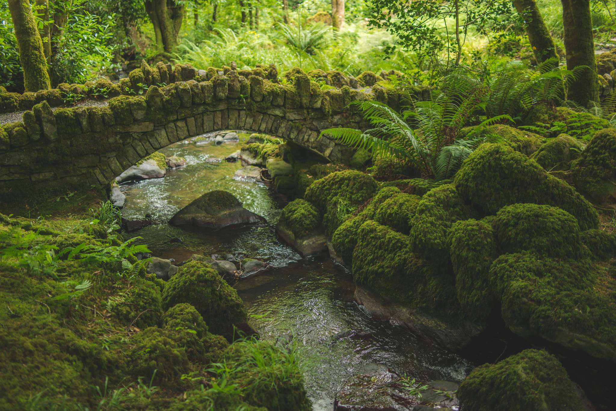 Nikon D800 sample photo. Kilfane glen photography