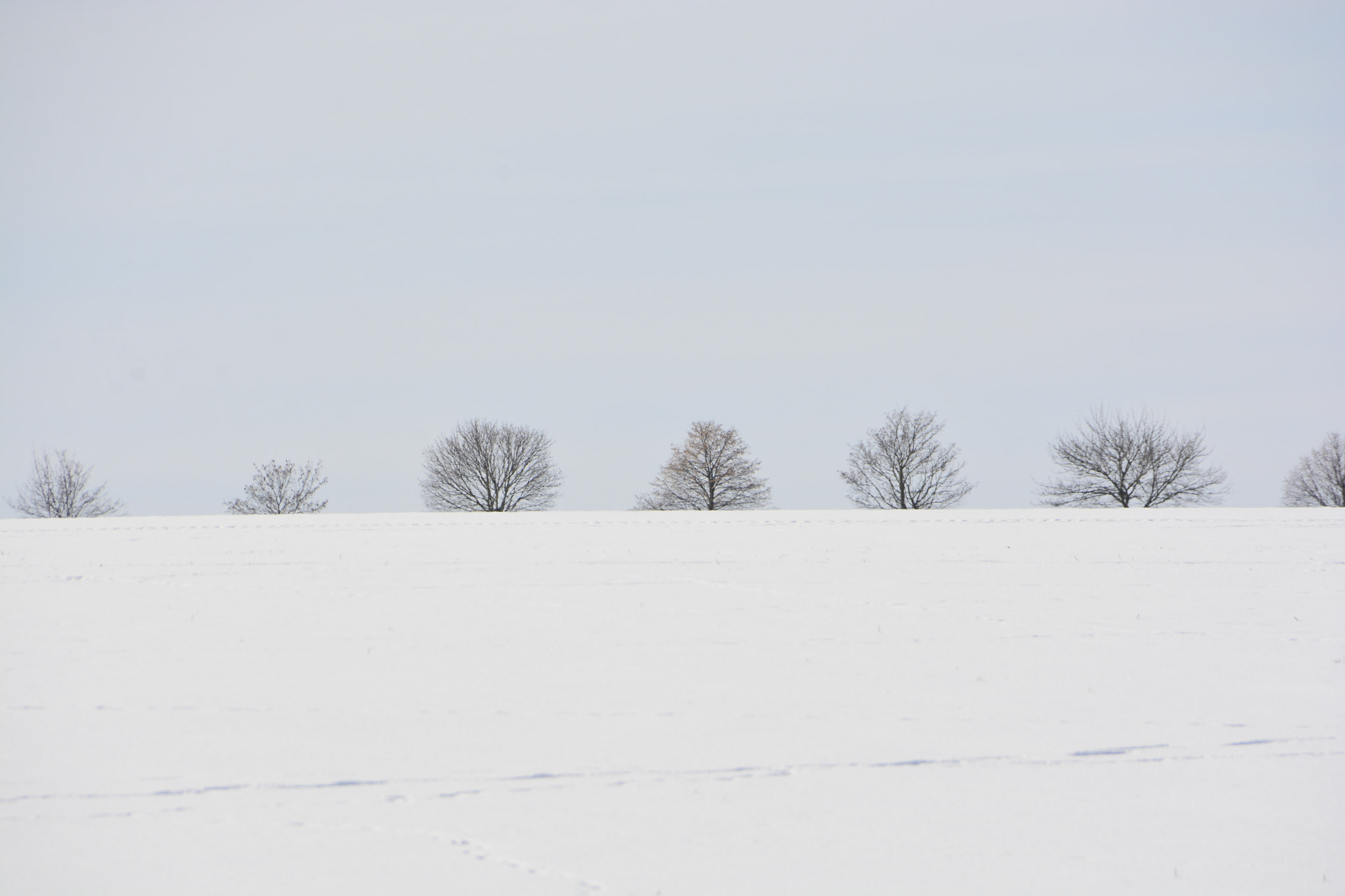 Sigma 18-250mm F3.5-6.3 DC OS HSM sample photo. Behind the horizon photography