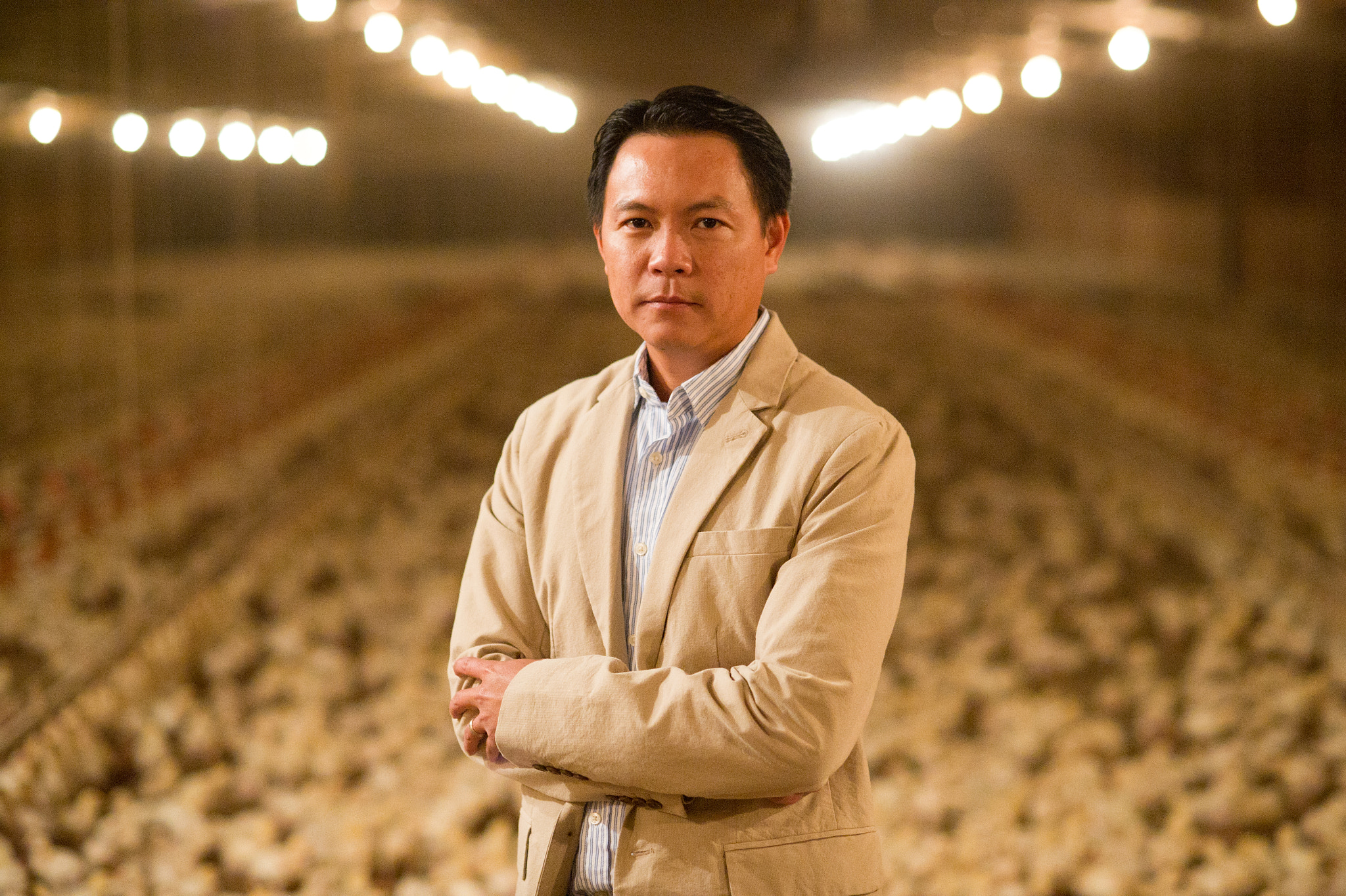 AF Nikkor 85mm f/1.8 sample photo. Poultry farmer with chicks photography