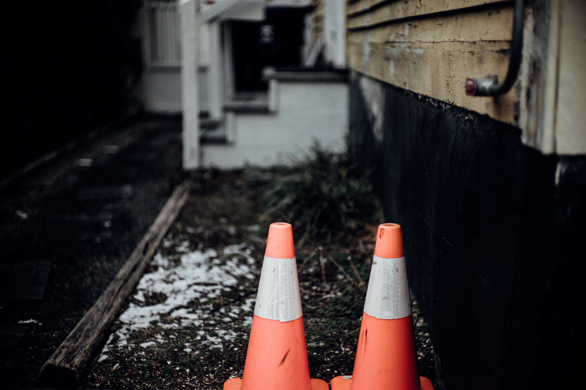 Leica M9 + Summilux-M 50mm f/1.4 (II) sample photo. The new black photography