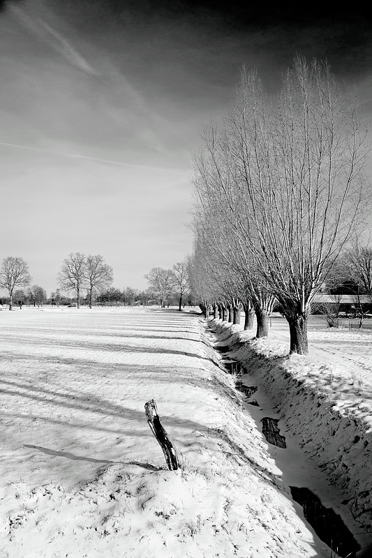 Sony Alpha DSLR-A900 sample photo. The chill of it all (ii) photography