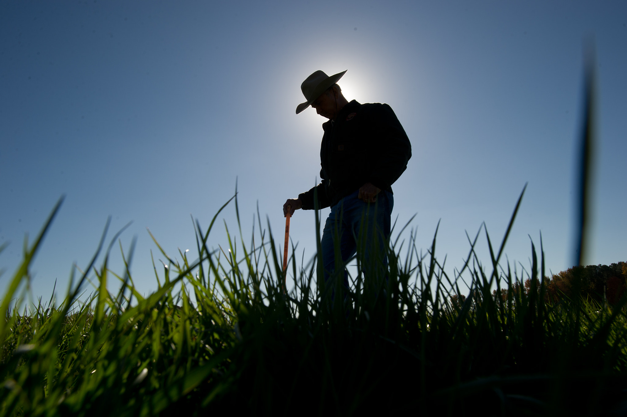 Nikon D3S sample photo. Farmer in the field photography
