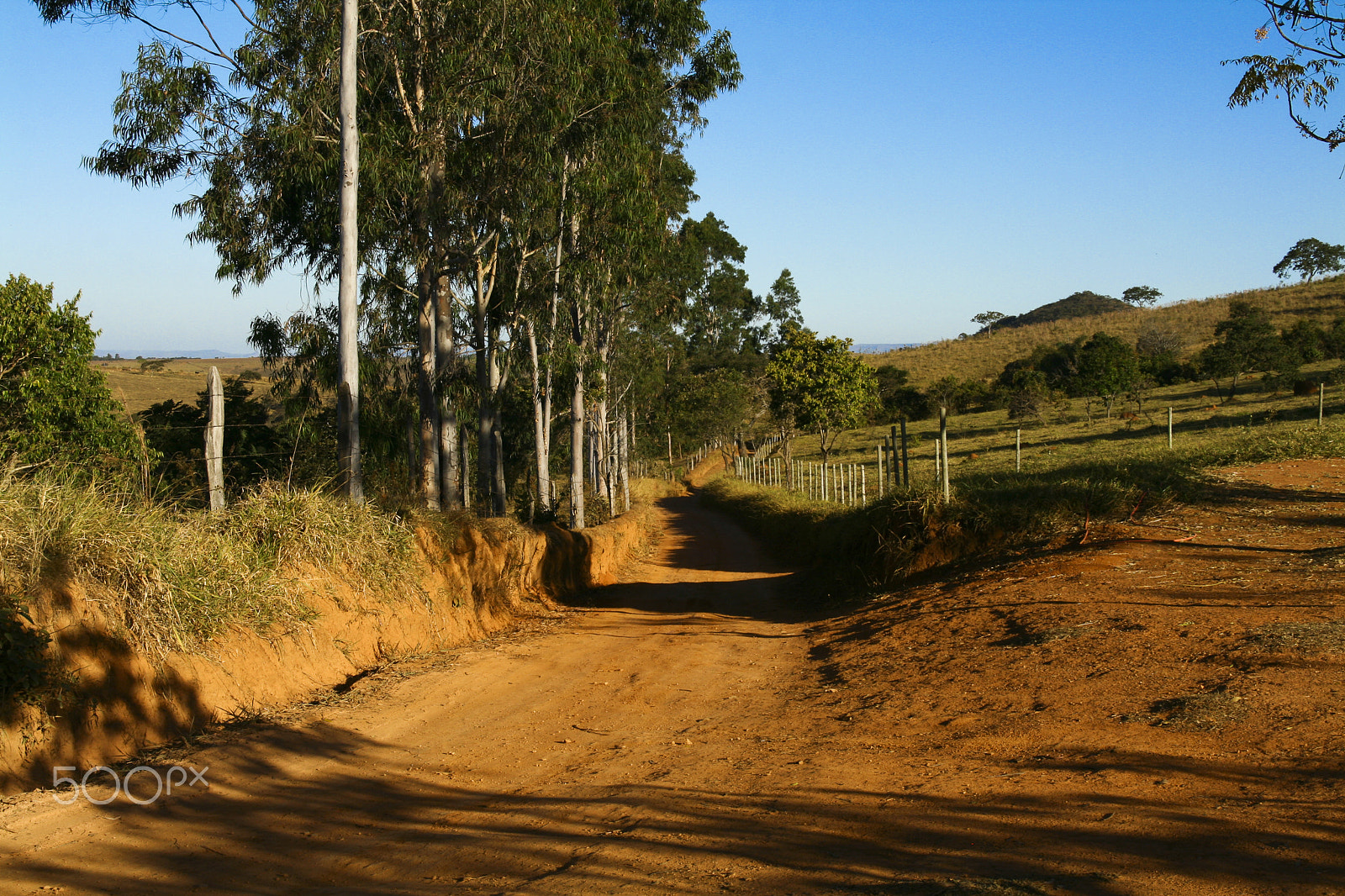 Sigma 18-200mm f/3.5-6.3 DC OS sample photo. Estrada de fazenda photography