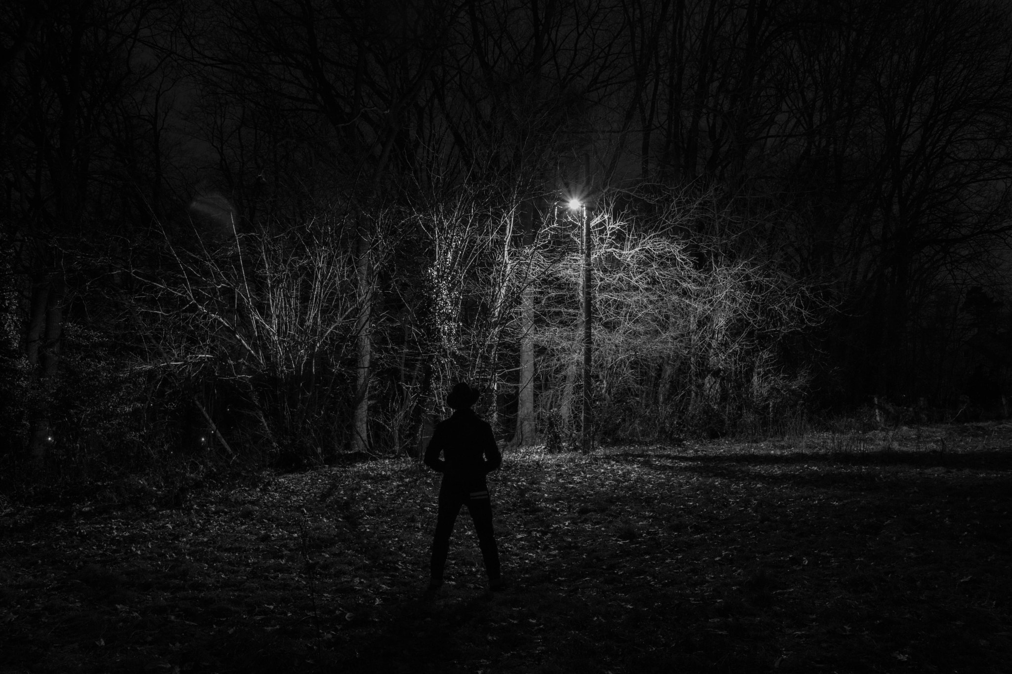 Sony SLT-A65 (SLT-A65V) + 17-50mm F2.8 sample photo. Autoportrait 1 photography