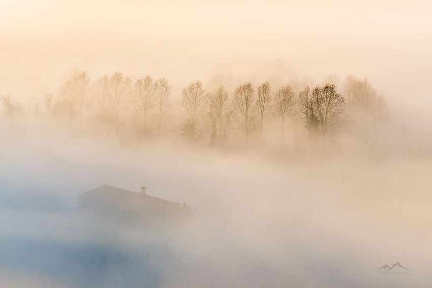 Nikon D800 + Tamron SP 70-200mm F2.8 Di VC USD sample photo. Foggy house photography