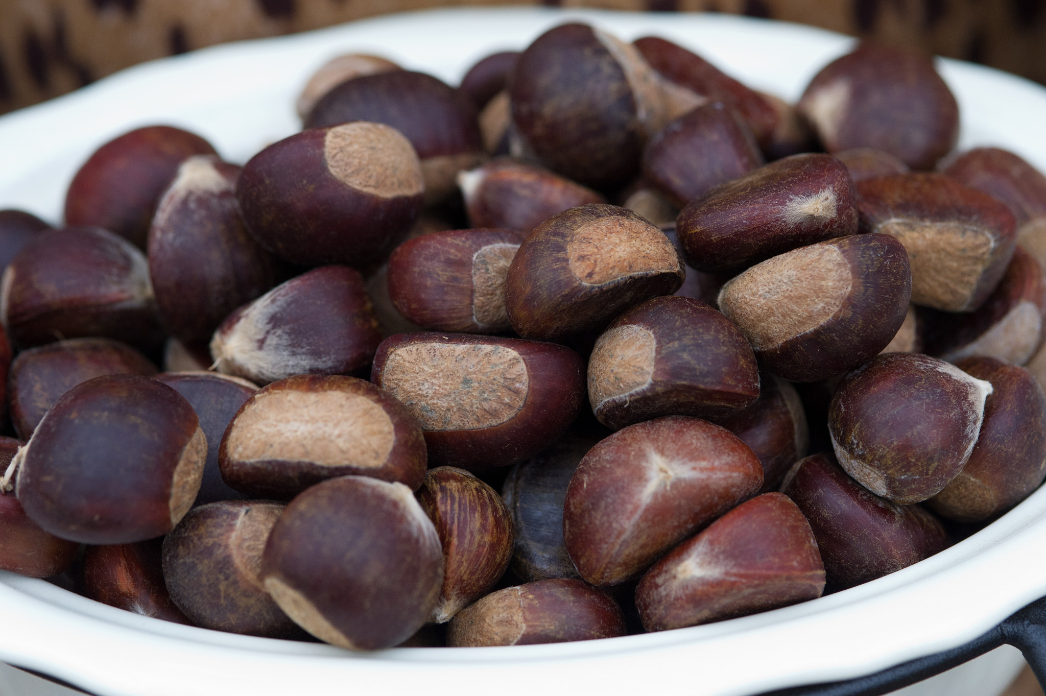 Nikon D3S sample photo. Chestnuts photography