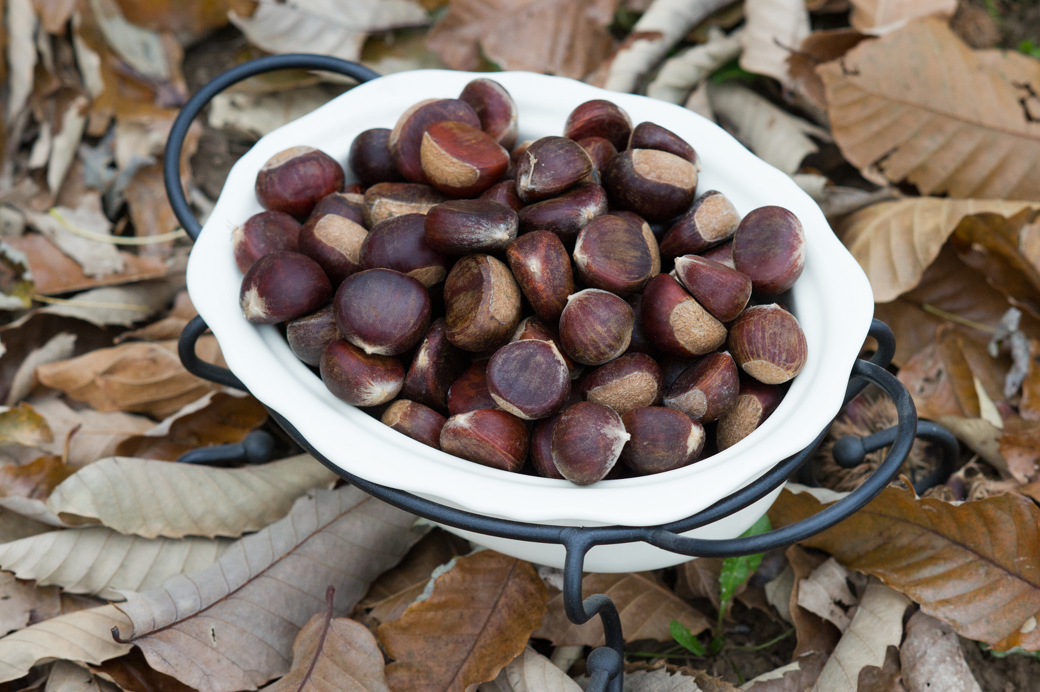 Nikon D3S + AF DC-Nikkor 135mm f/2 sample photo. Chestnuts photography