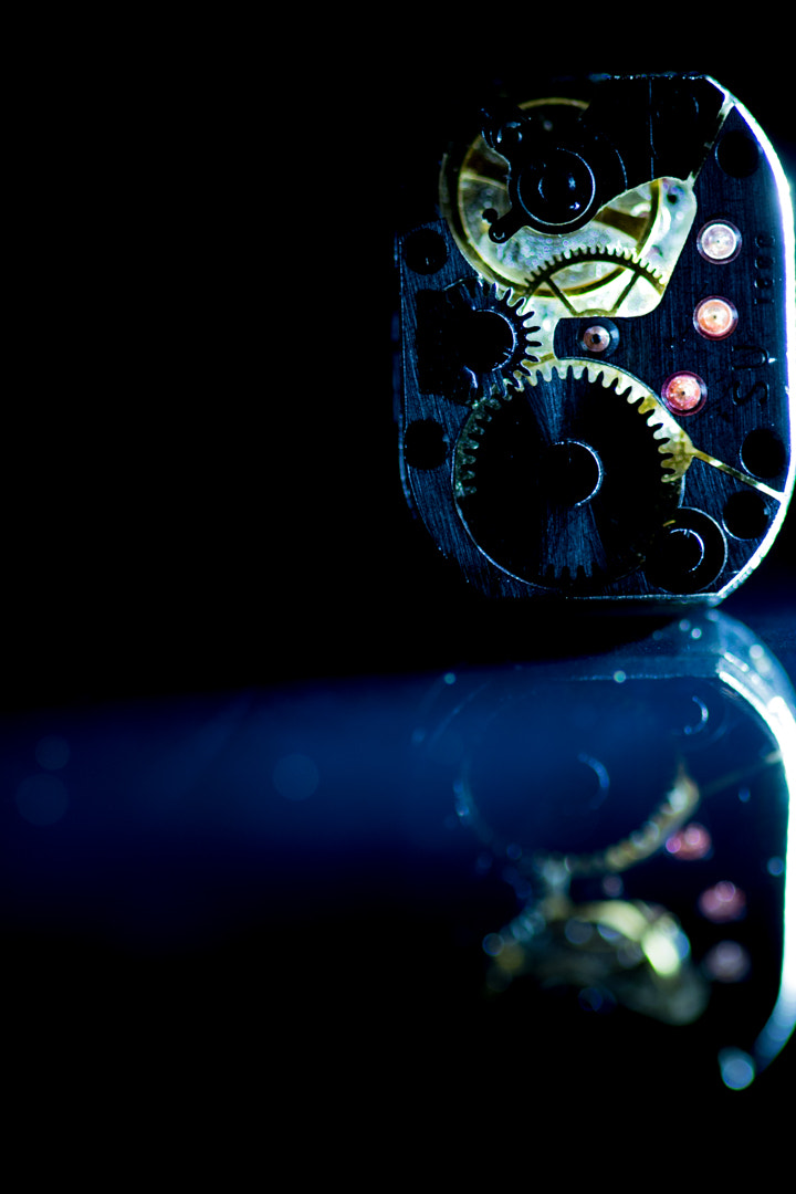 Canon EF 100mm F2.8 Macro USM sample photo. The mecahanism of light photography