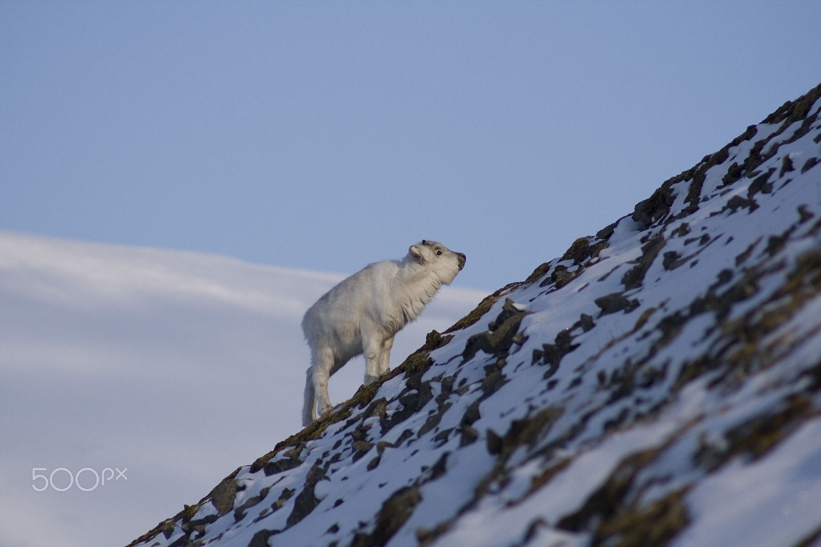 Canon EF 100-300mm F4.5-5.6 USM sample photo. Uphill photography