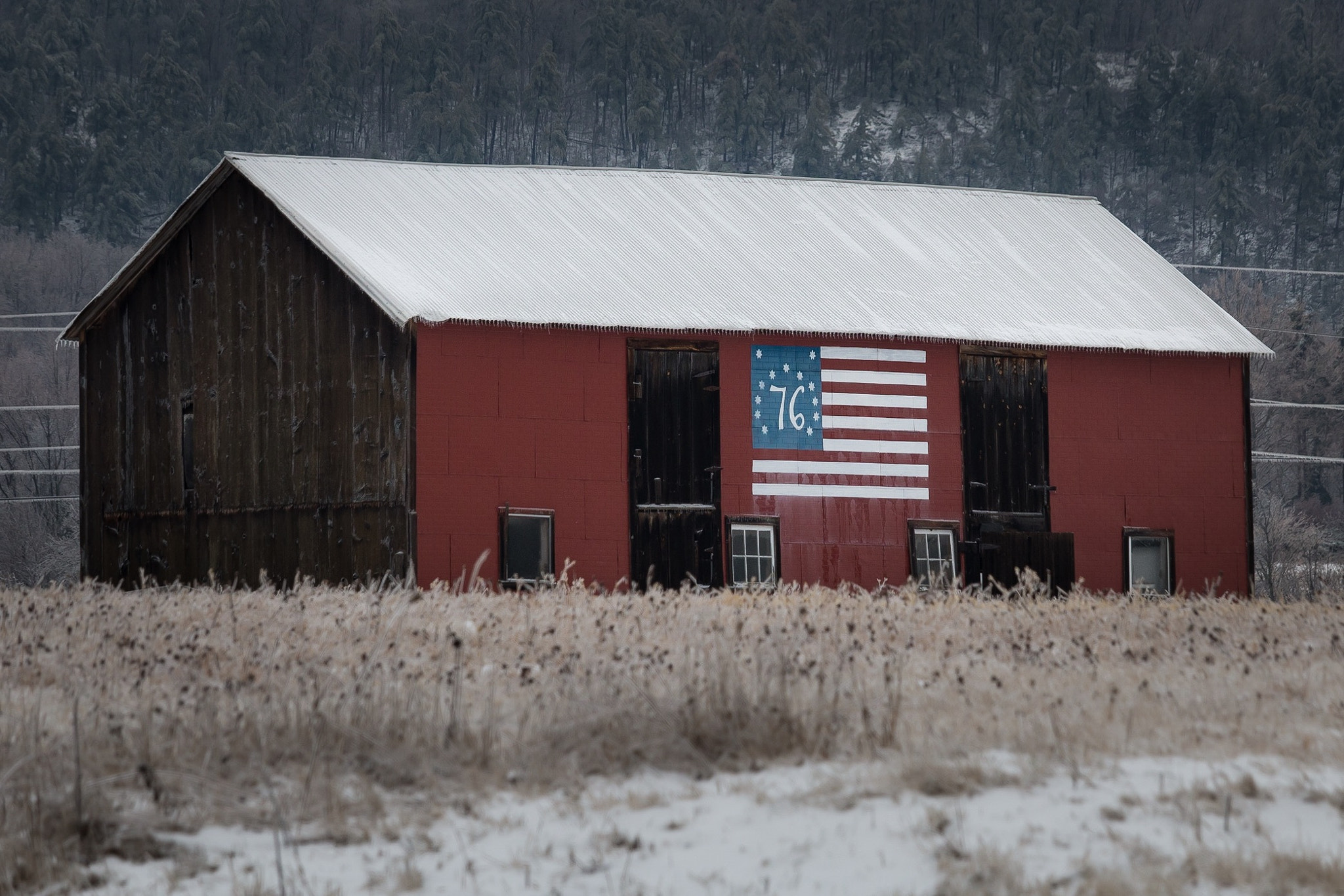 Canon EF-S 55-250mm F4-5.6 IS STM sample photo. Img photography