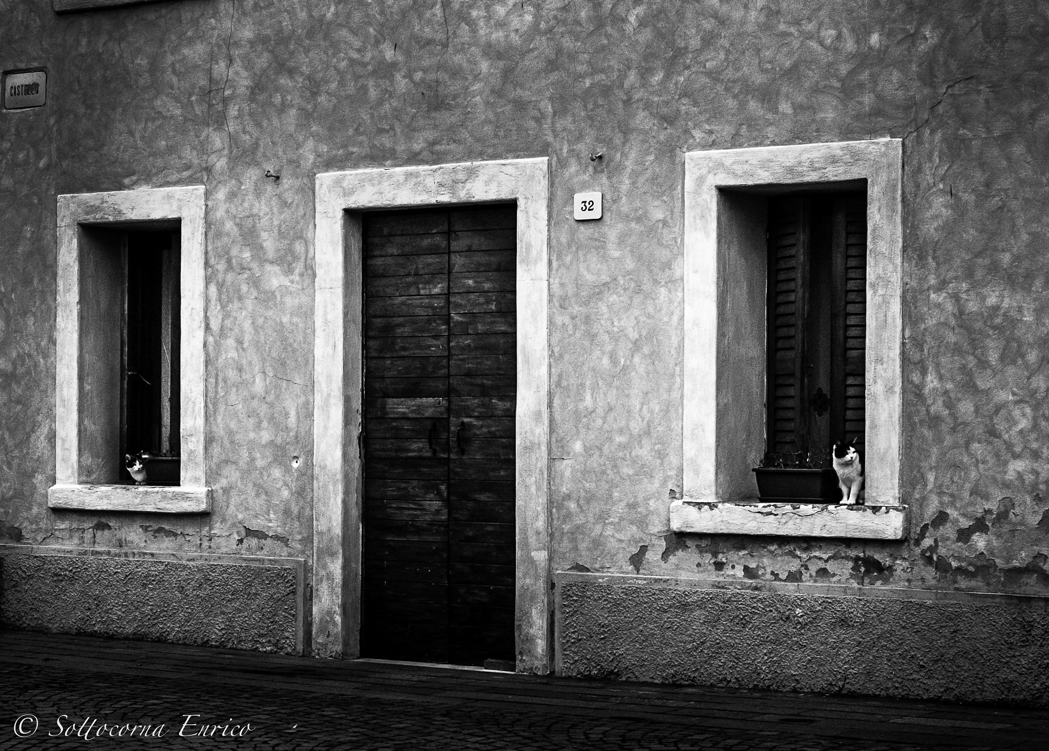 Fujifilm X-T10 + Fujifilm XF 27mm F2.8 sample photo. ...curiosity... photography