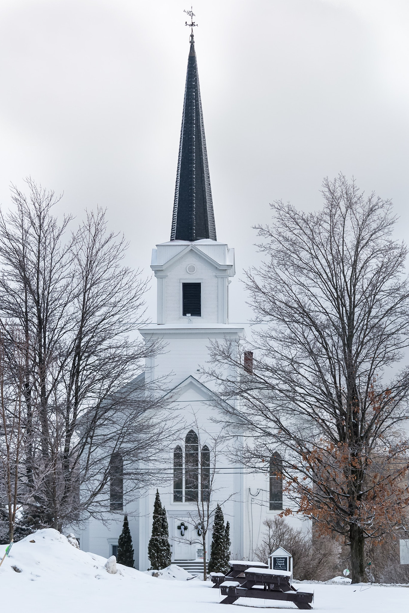 Canon EF-S 55-250mm F4-5.6 IS STM sample photo. Img photography