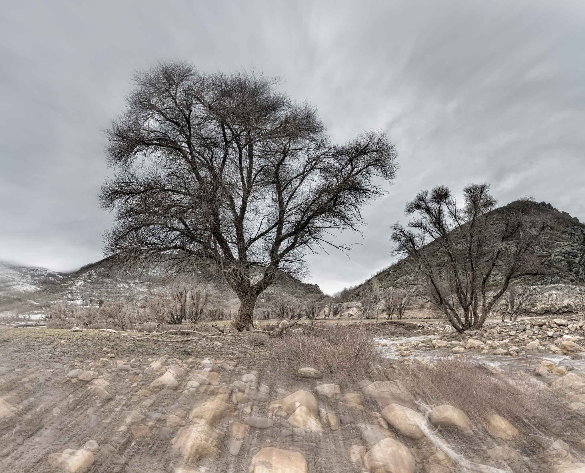 Tokina AT-X 16-28mm F2.8 Pro FX sample photo. Petrificado photography