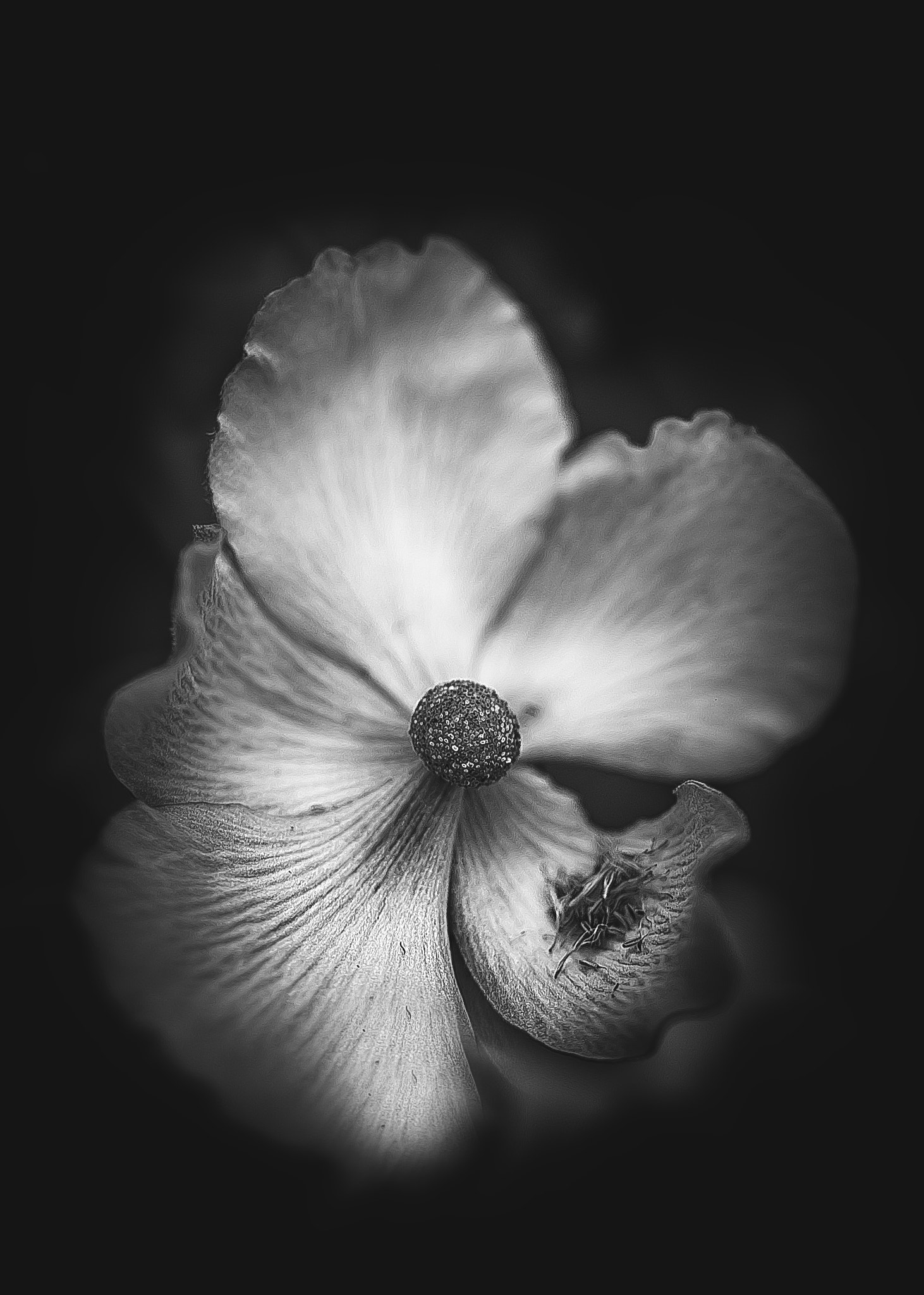 Nikon D750 + Tamron SP 35mm F1.8 Di VC USD sample photo. 39.jpg photography