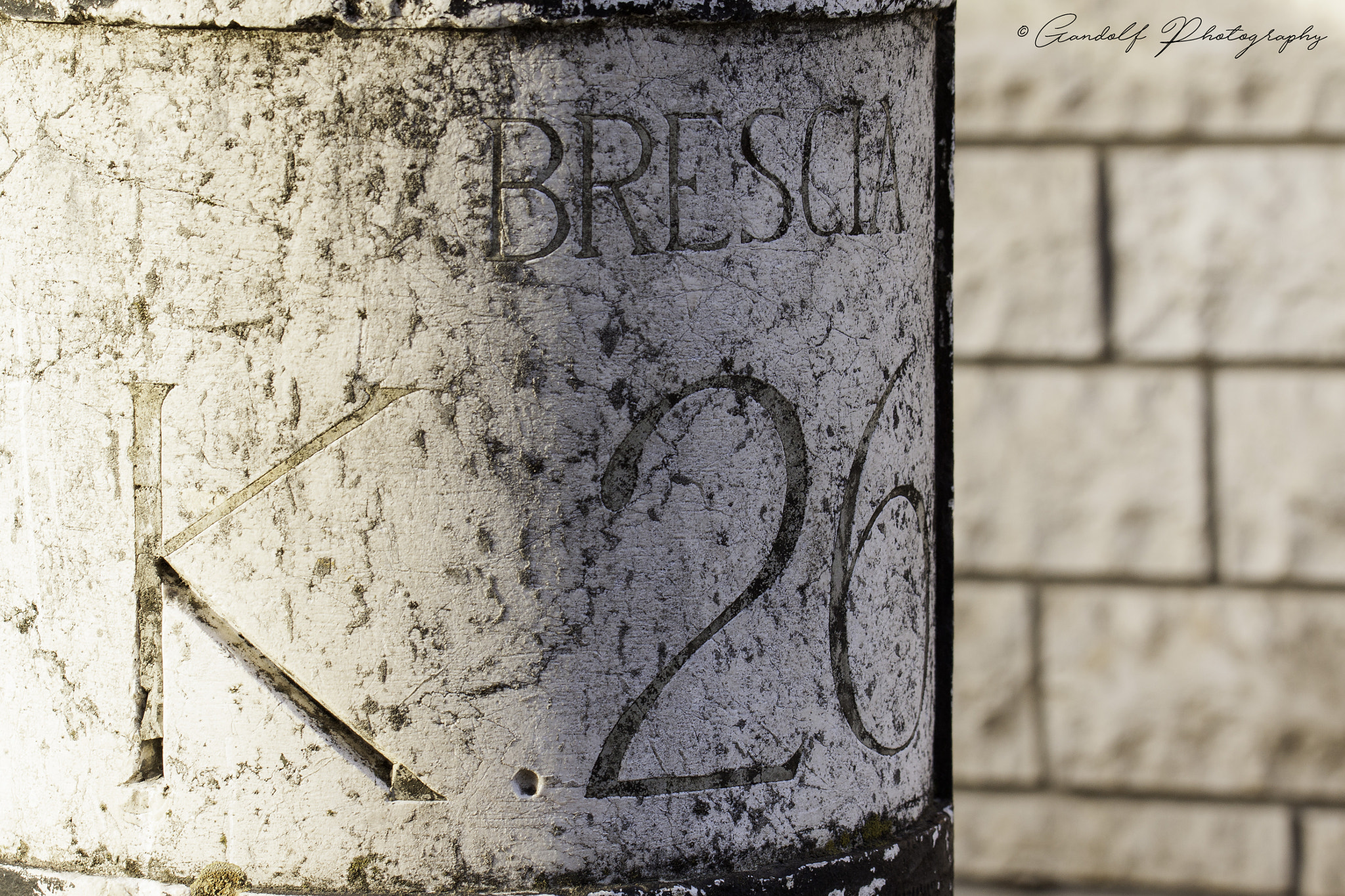 Canon EF 100mm F2.8L Macro IS USM sample photo. Directions photography