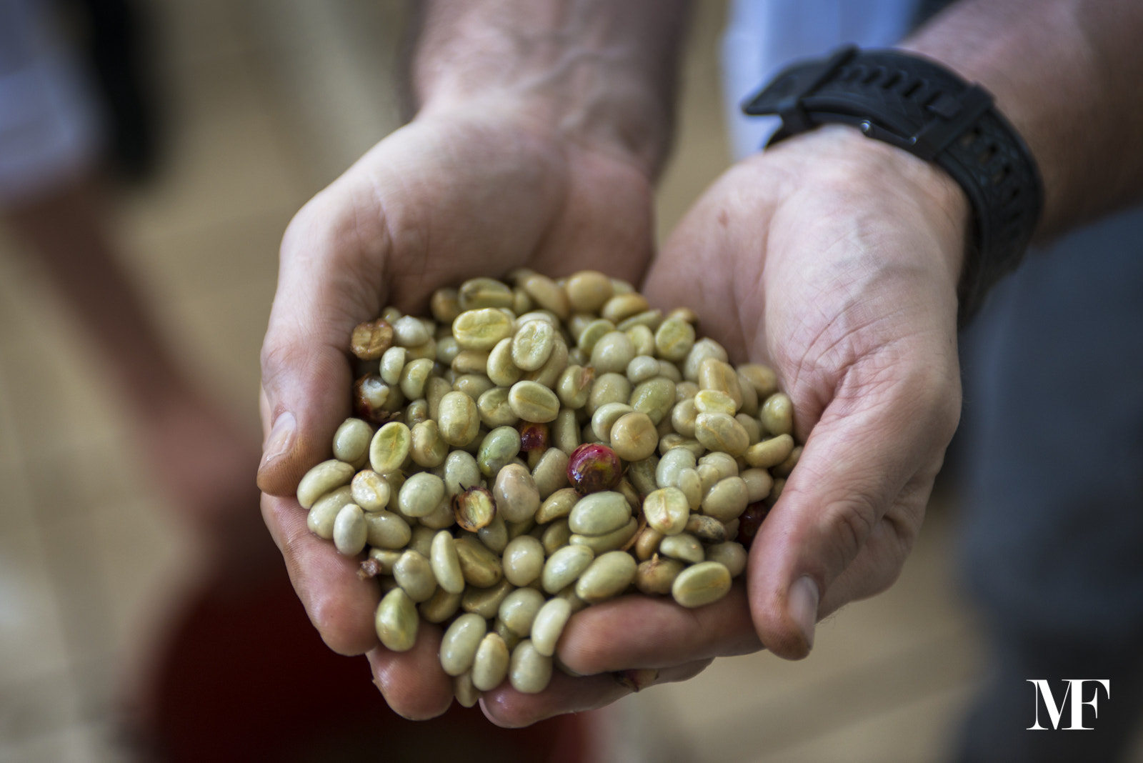 Nikon AF-S Nikkor 28-70mm F2.8 ED-IF sample photo. Coffee harvesting in honduras photography