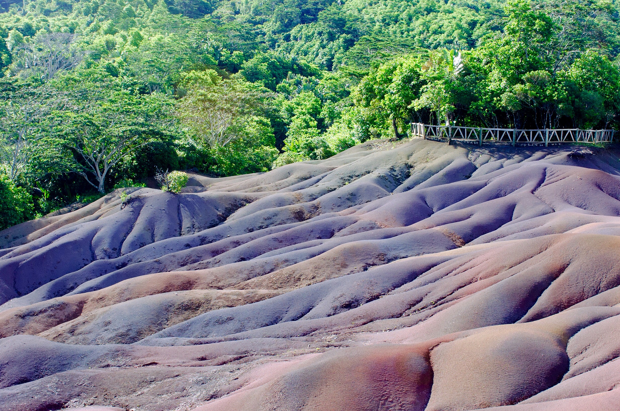 Nikon D2H + AF Zoom-Nikkor 35-70mm f/2.8D sample photo. Coloured earth - chamarel - mauritius photography