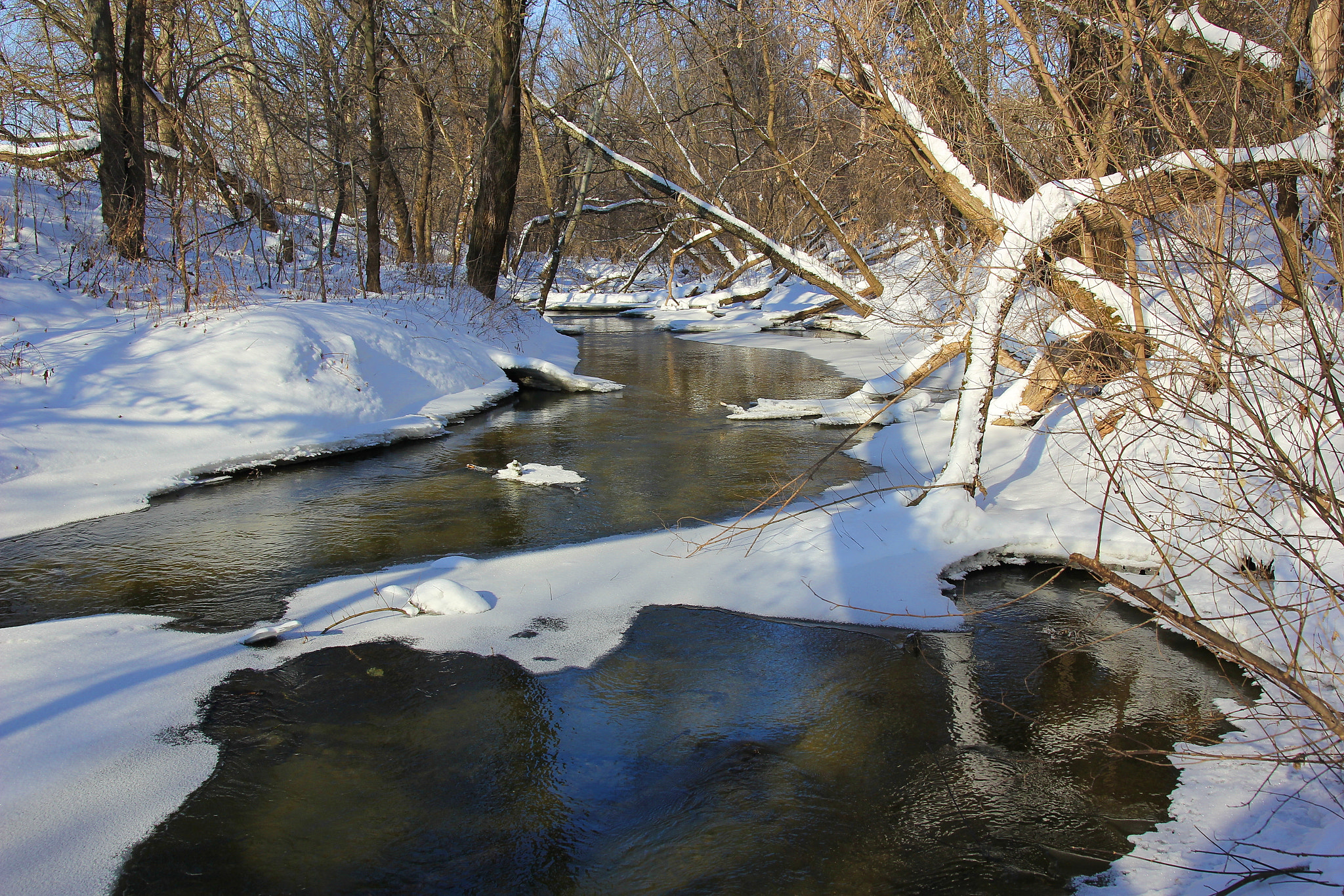 Canon EOS 60D + Sigma 17-70mm F2.8-4 DC Macro OS HSM sample photo. Groundhog day soon photography