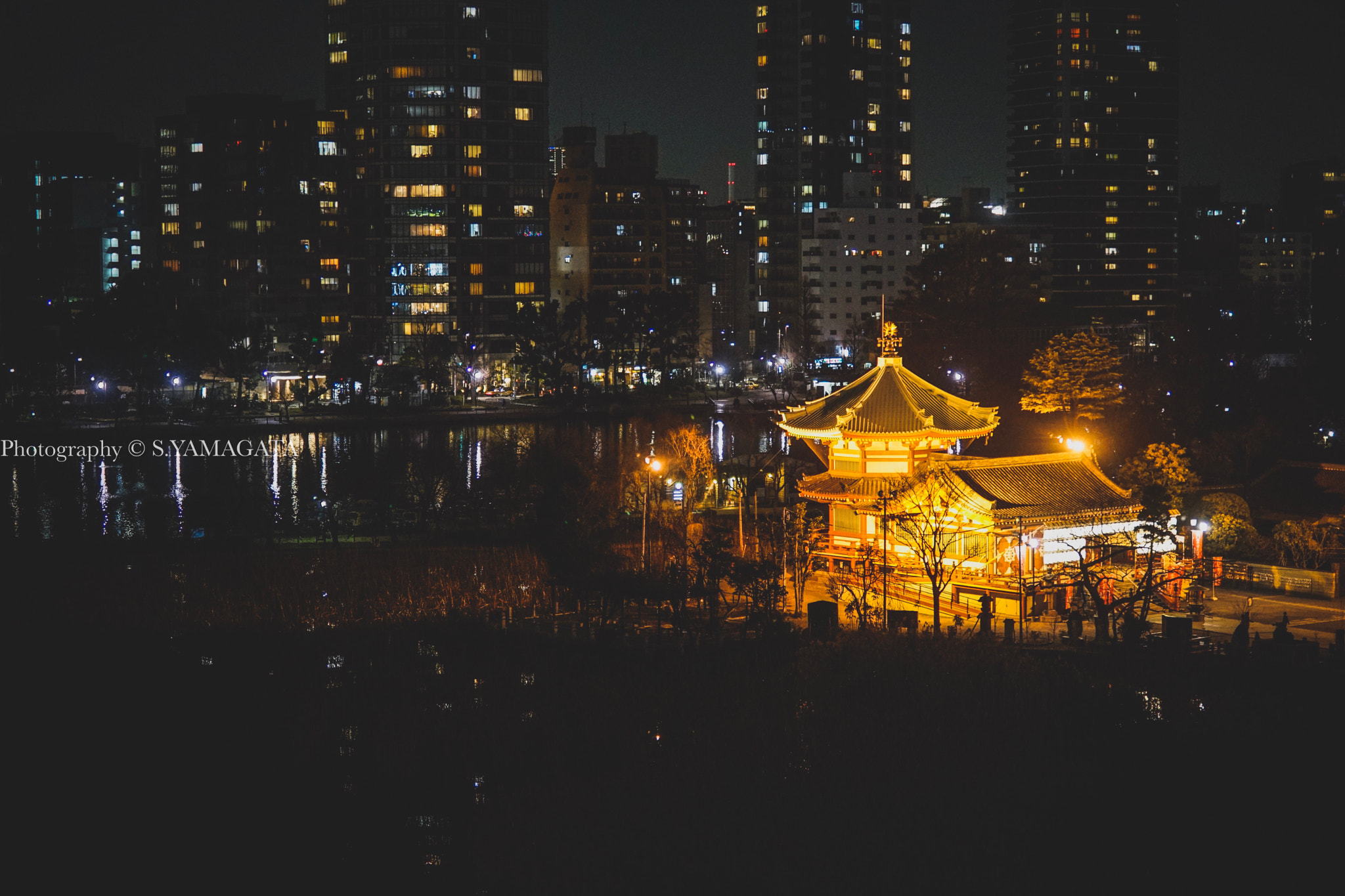 Sony Planar T* FE 50mm F1.4 ZA sample photo