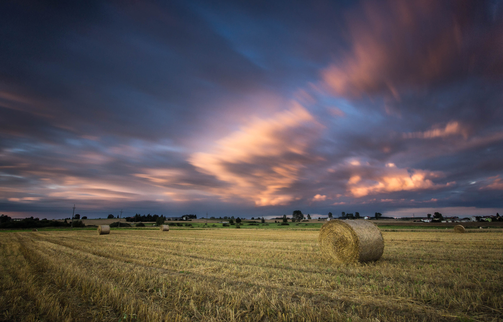 Sigma AF 10-20mm F4-5.6 EX DC sample photo. Movement.... (zaborski landscape park) photography