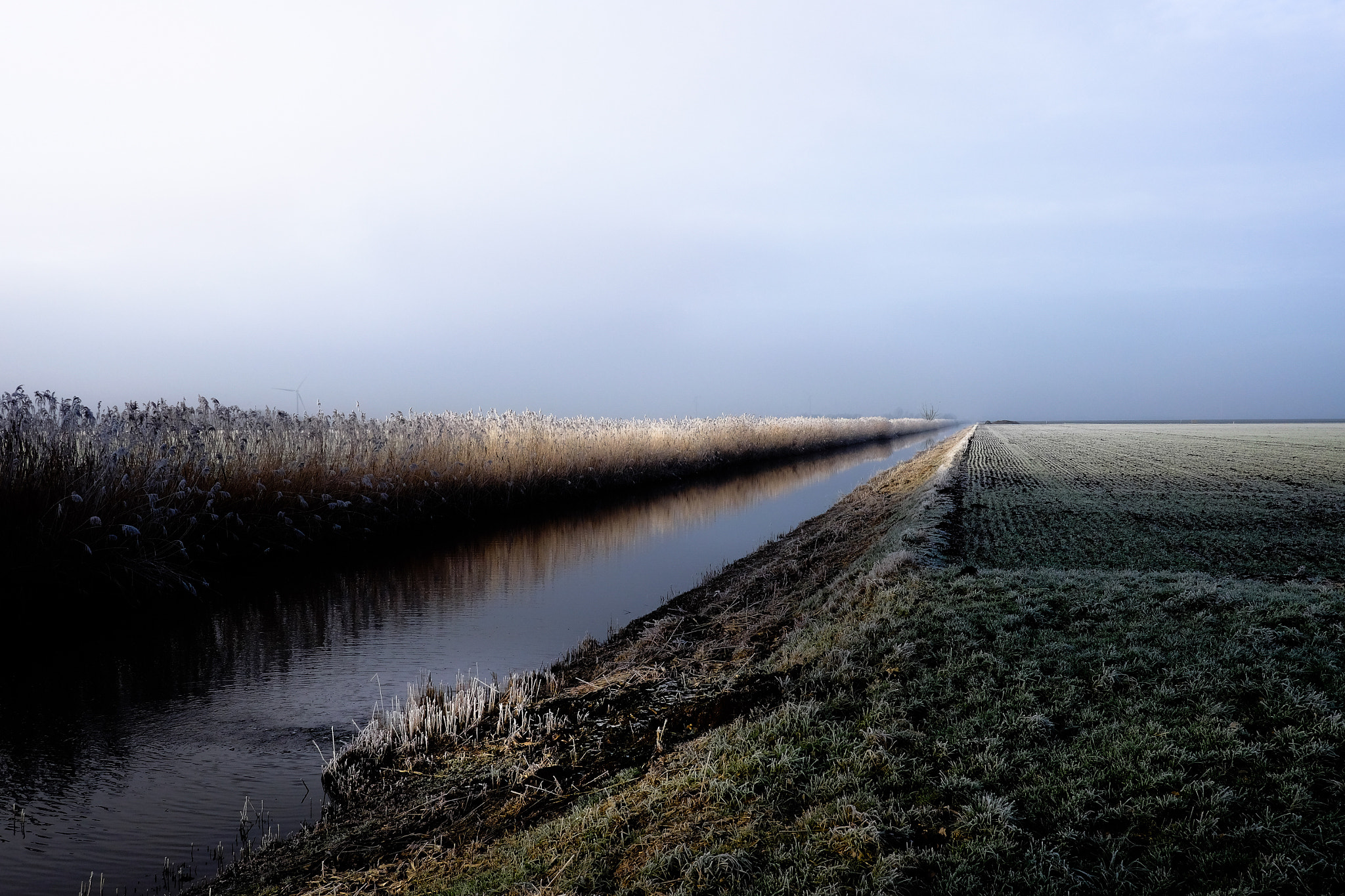 Fujifilm X-T1 + Fujifilm XF 23mm F2 R WR sample photo. Flevoland, lines, light and shadows photography