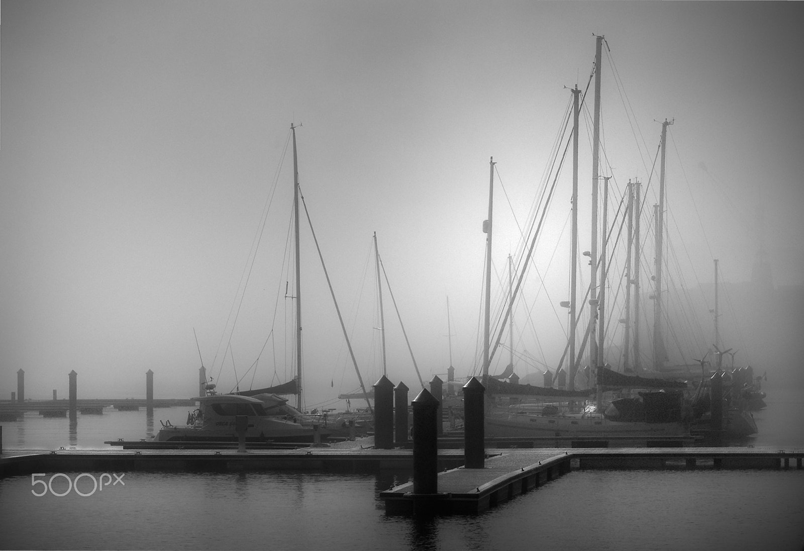 Nikon D200 sample photo. Fog photography