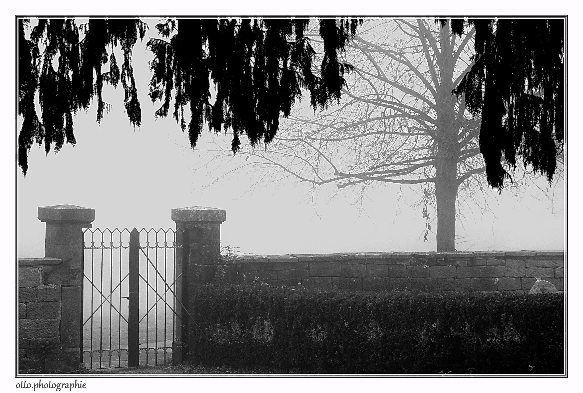 Canon EOS 450D (EOS Rebel XSi / EOS Kiss X2) sample photo. Friedhof photography