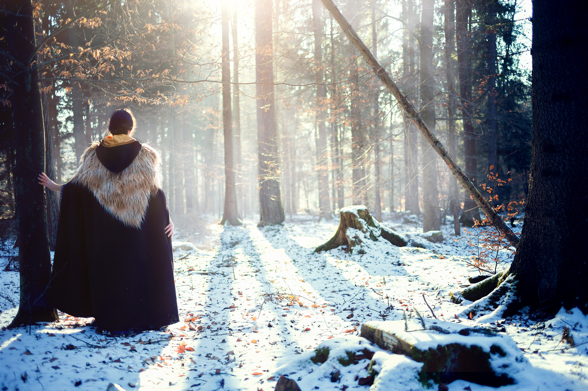 Canon EOS 6D + Canon EF 35mm F2 sample photo. The druid photography