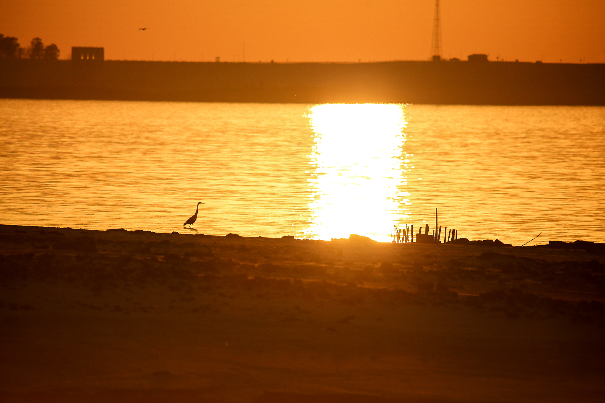 Canon EOS 6D + Sigma 150-500mm F5-6.3 DG OS HSM sample photo. Sunset on the lake photography