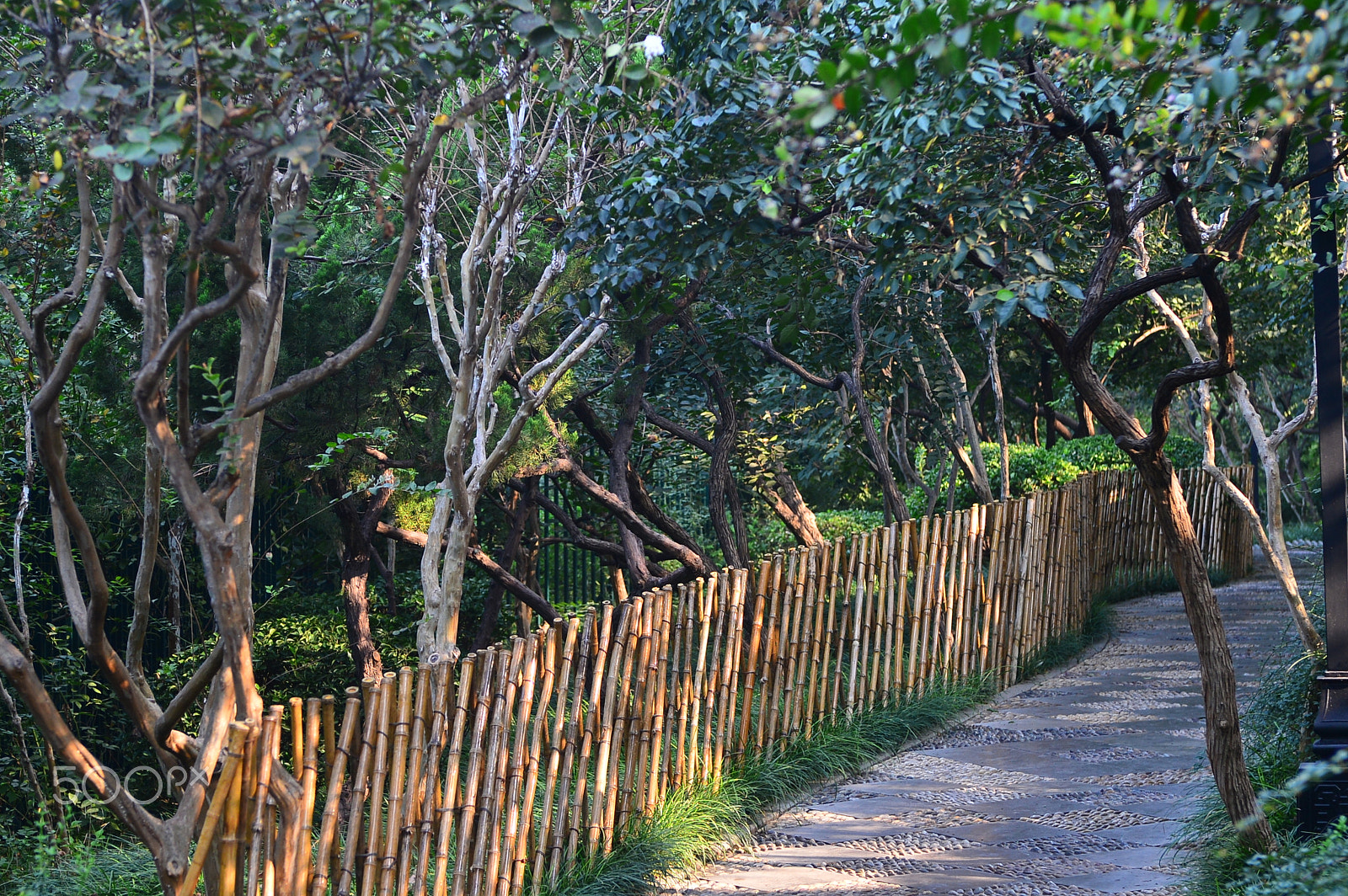 Nikon AF-S Nikkor 28-70mm F2.8 ED-IF sample photo. Qzj photography