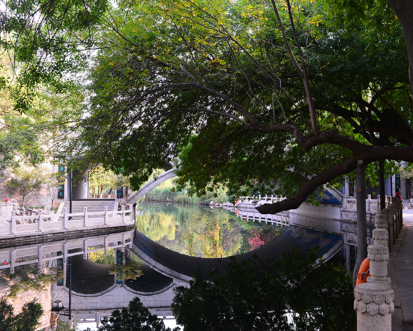Nikon AF-S Nikkor 28-70mm F2.8 ED-IF sample photo. Qzj photography