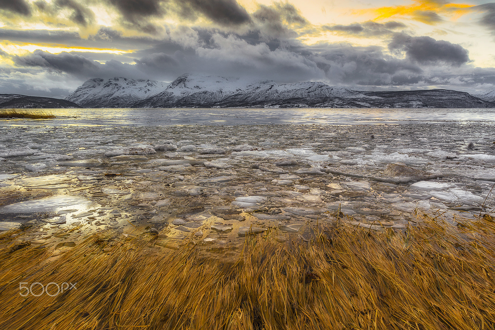 Nikon D610 + Nikon AF-S Nikkor 20mm F1.8G ED sample photo. Winter glow in mestervik photography