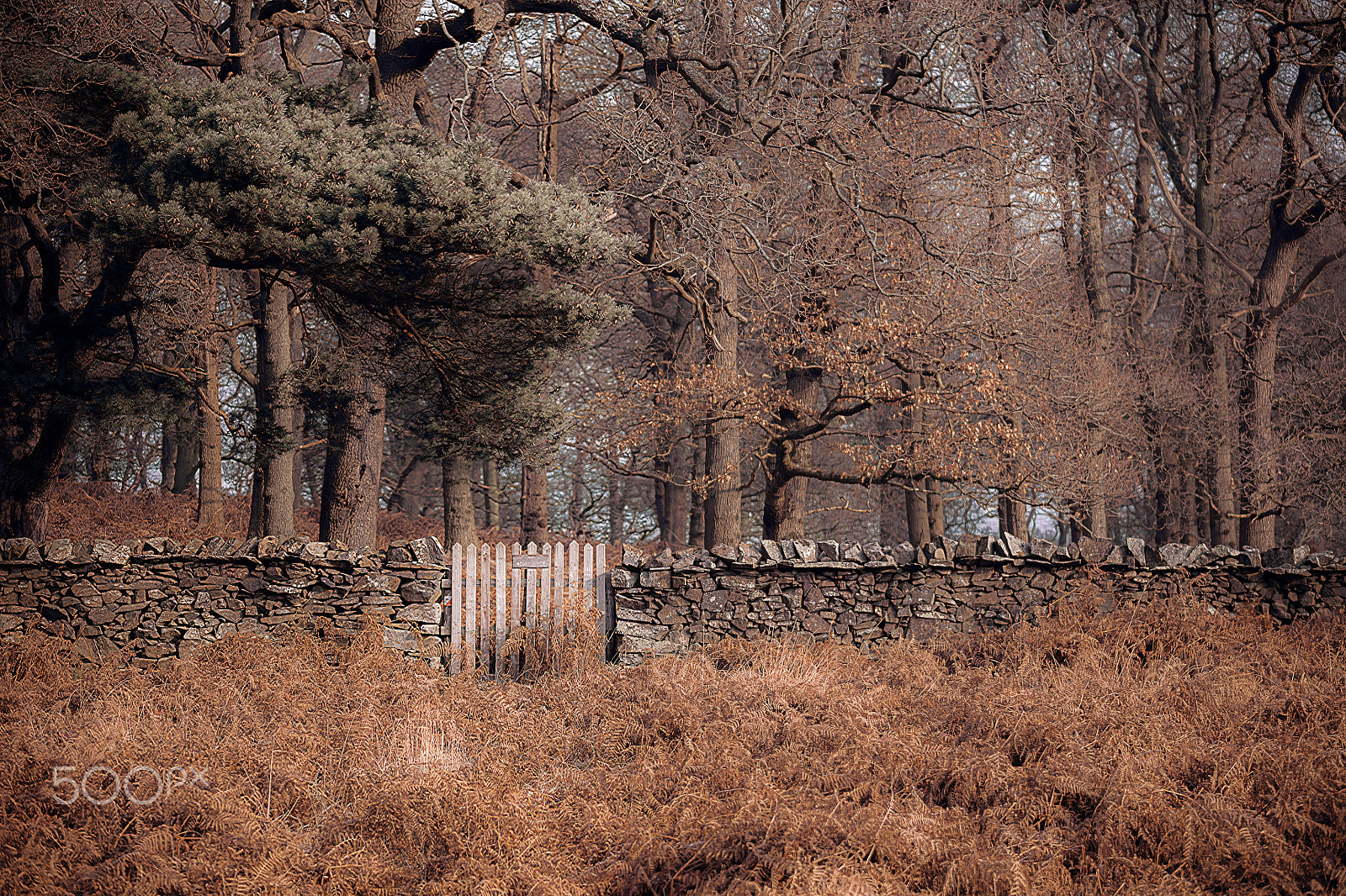 Canon EOS 5DS R sample photo. Autumn photography