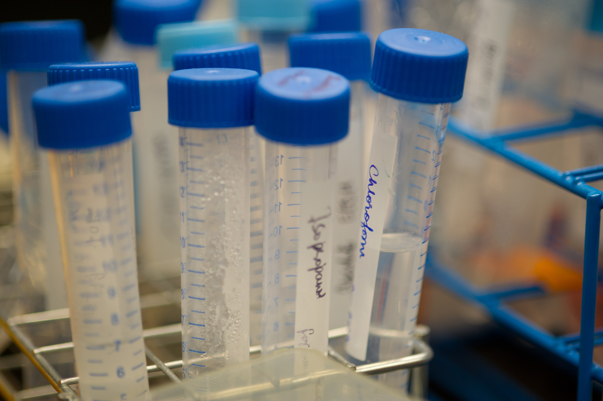 Nikon D3S sample photo. Container of test tubes photography