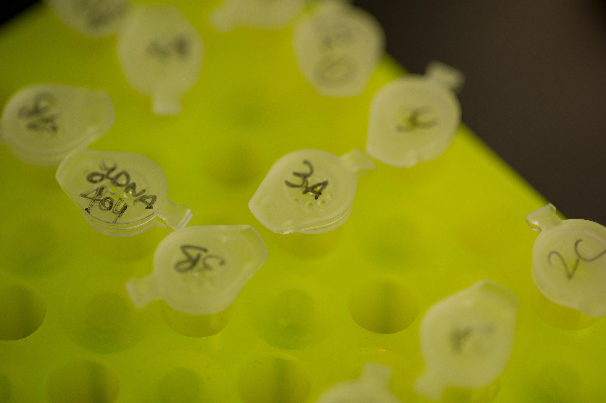 Nikon D3S sample photo. Container of test tubes photography