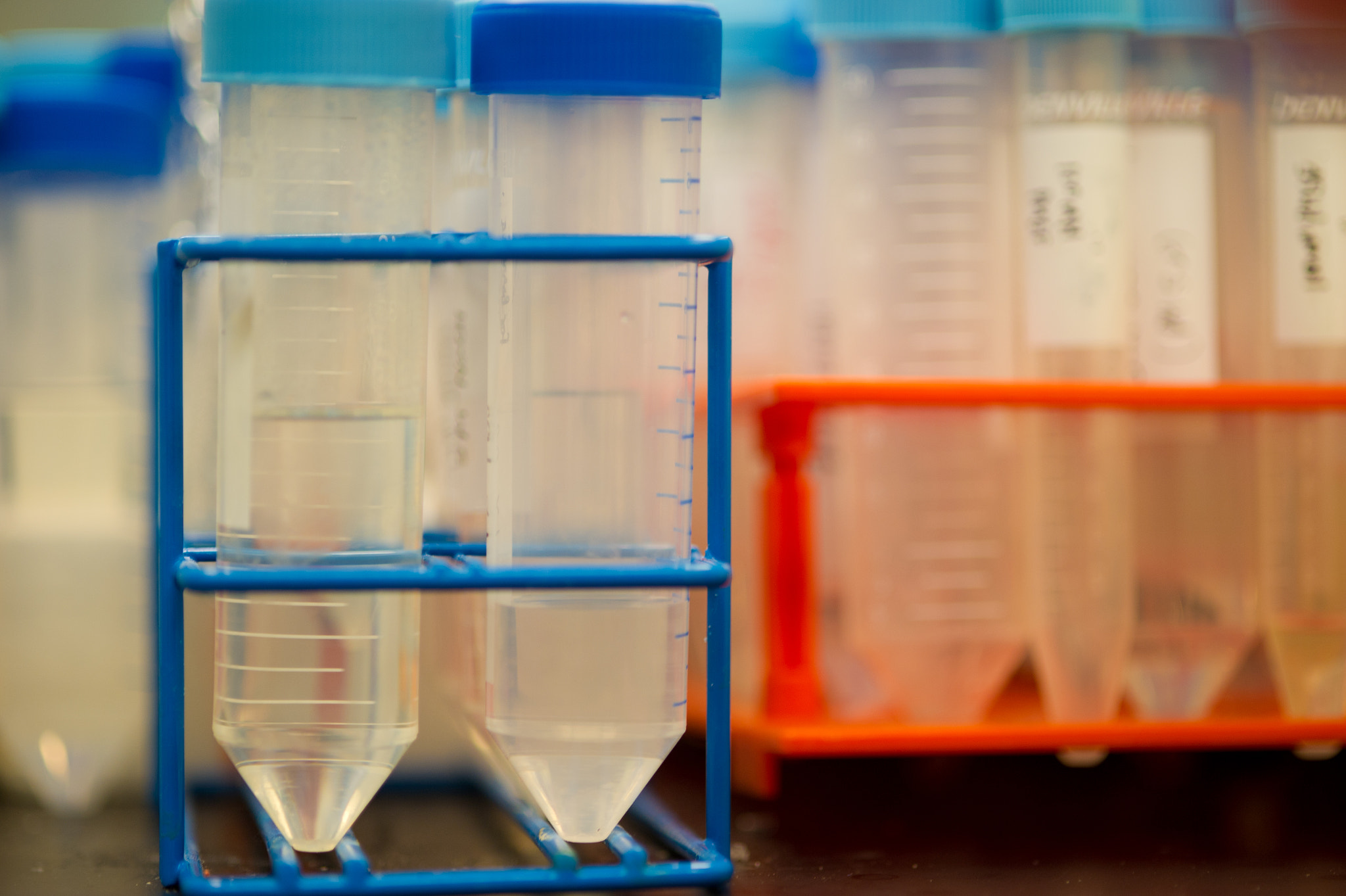 Nikon D3S sample photo. Container of test tubes photography